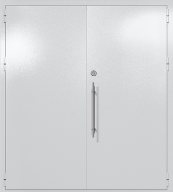 Двупольная глухая техническая дверь (цвет светло-серый RAL 7047)
