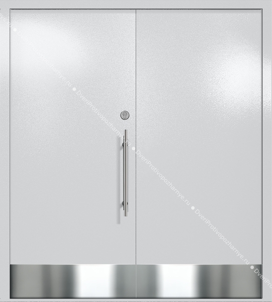 Двупольная глухая техническая дверь с отбойниками (цвет светло-серый RAL 7047) Двупольная глухая техническая дверь с отбойниками (цвет светло-серый RAL 7047)