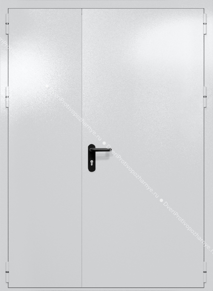 Полуторапольная глухая дверь ei-60 с ручками «антипаника» (цвет светло-серый RAL 7047)