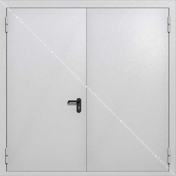 Распашные ворота ei-60 (цвет светло-серый RAL 7047) Распашные ворота ei-60 (цвет светло-серый RAL 7047)